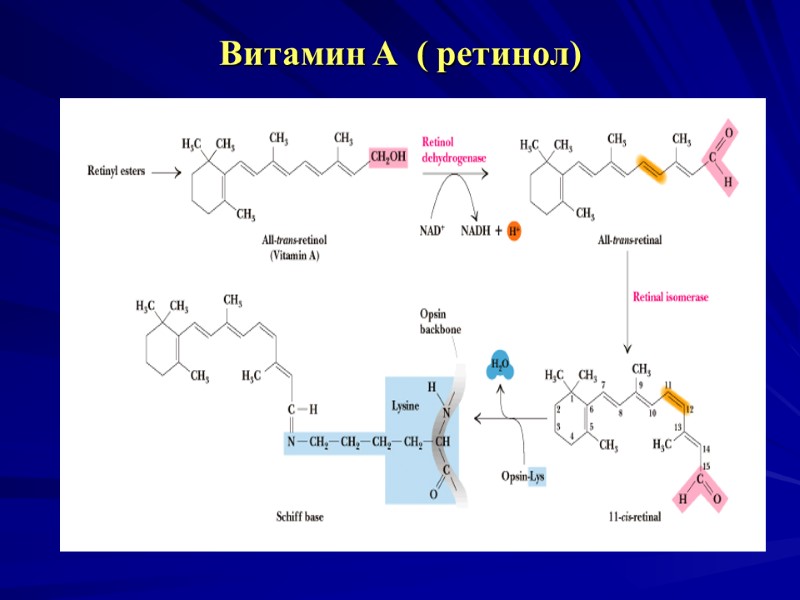 Витамин А ( ретинол) Витамин А ( ретинол)
